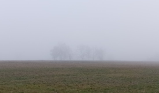 Winterpokal-Aktivität