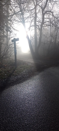 Winterpokal-Aktivität