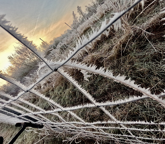 GNU Festive 325 / 500 - Seensuchtsort  Walli