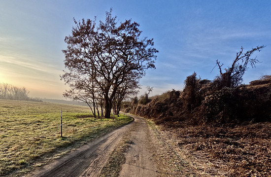 GNU Festive 275 / 500 - Wenn der Vater mit dem Sohne …