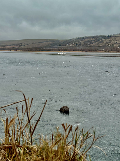 GNU Festive 500 / 500 - Final Grande Querfurter Platt