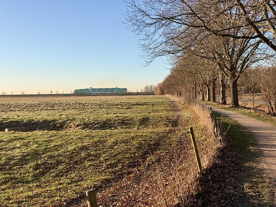 Ever Eco hinterm Deich