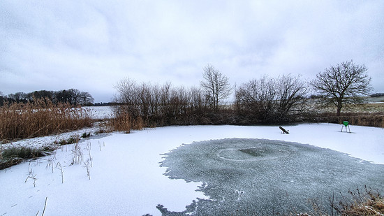 Silvesterspaziergang