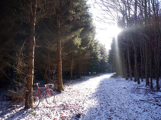Winterpokal-Aktivität