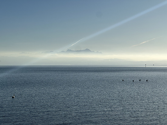 Silvestersonne! ☀️