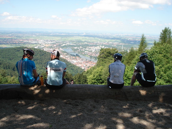 Hühner auf der Stange