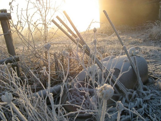 Ravensburg 0241 klein