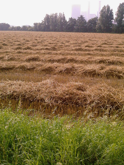 ganz schön abgedroschen