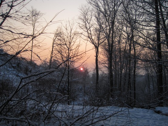 Abendstimmung im Felderbachtal