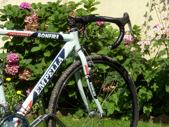 Mein kleines Erdferkel