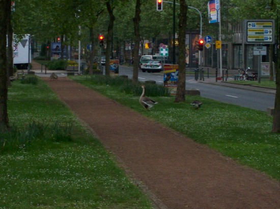 002 MetroMarathonDdorf09