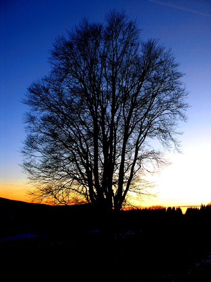 Schauinsland Halde 10.12.09