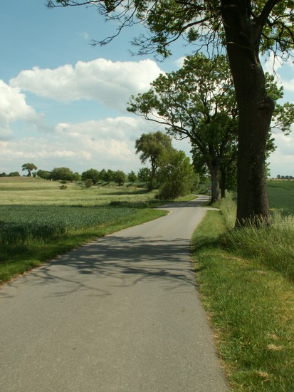 auf dem Weg nach Rom