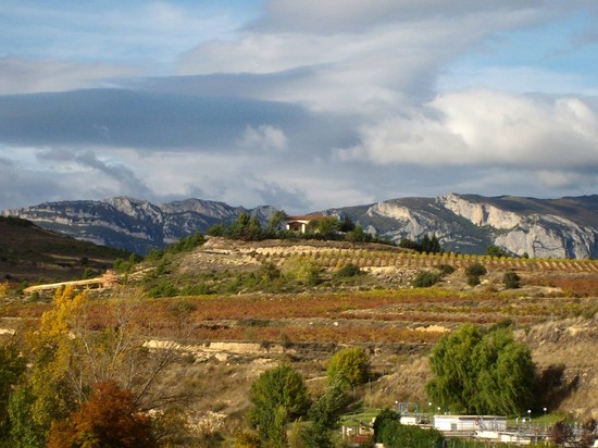 24.10.09 bei Elciego