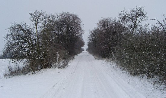19.12.09 Schnee-Geländetour 