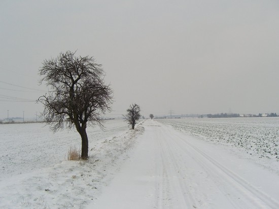 19.12.09 Schnee-Geländet our + Platten