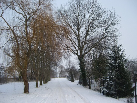 19.12.09 Schnee-Geländet our + Platten