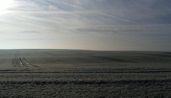 Feld zwischen Brachstedt und Kütten
