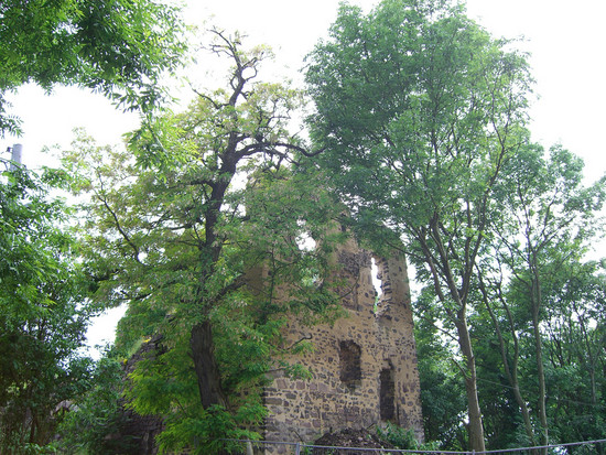 Klosterruine auf dem Petersberg 