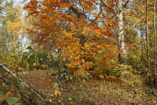 31.10.09 Reformationstag- Spazierfahrt