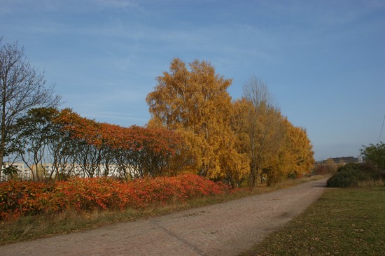 31.10.09 Reformationstag- Spazierfahrt