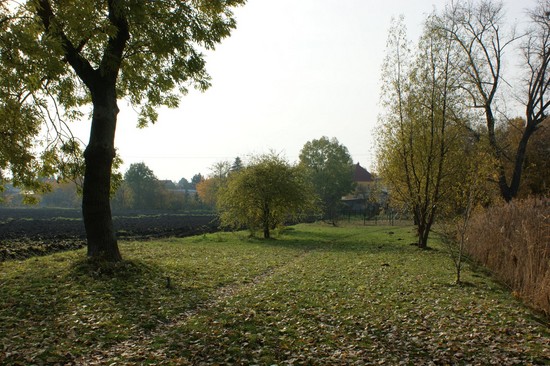  31.10.09 Reformationstag- Spazierfahrt 