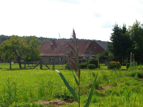 heut mal wieder saftiges GRÜN