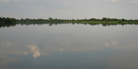 Inselteich