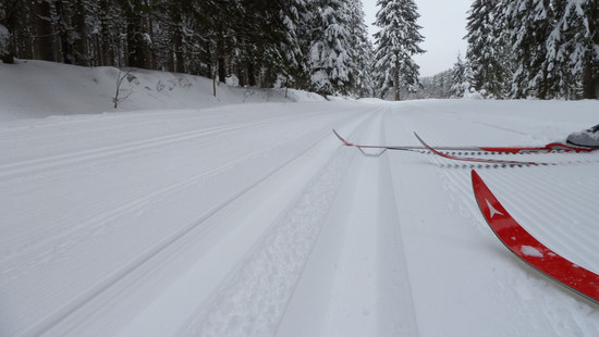StockschwuckenJungfrau