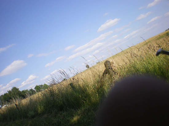 Wald und Wiesen Part 4