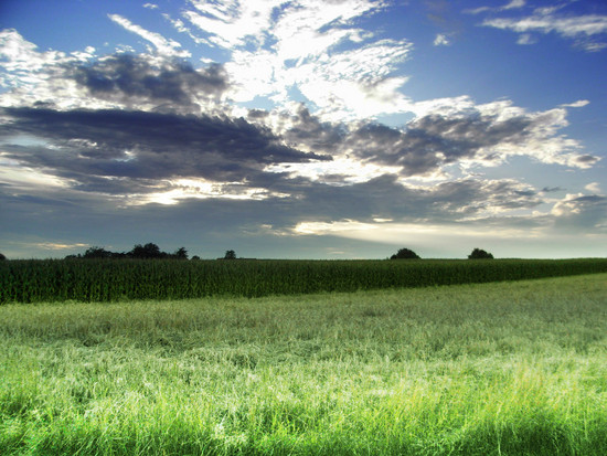 RIMG0013a 1247600952