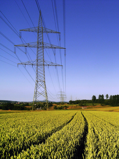 RIMG0017d 1246028661