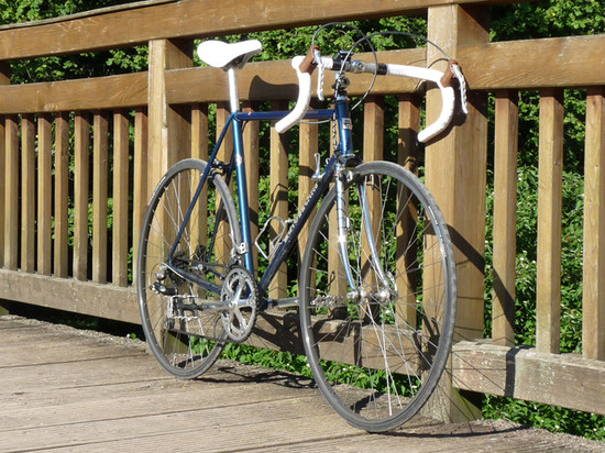 Motobecane Team Champion