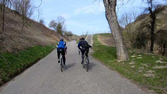 80% Team Pesto Ausfahrt 12.3.