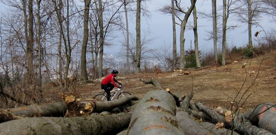 Schönberg und Tuniberg 18.3.