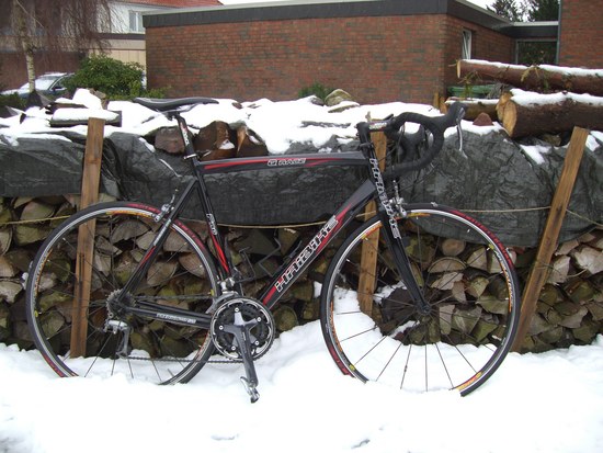 Im Sommer gekauft, eure Meinung?