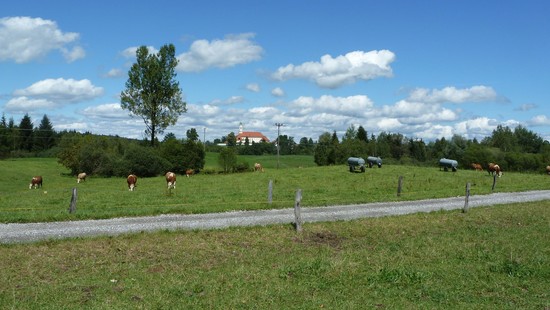 Oberbayrische Idylle