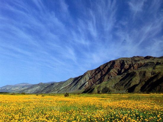 California - Borrego Valley