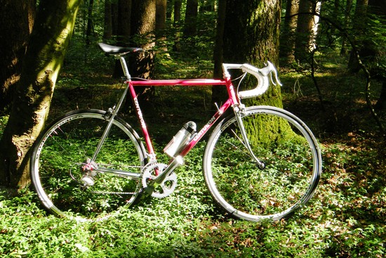 CENTURION Professional