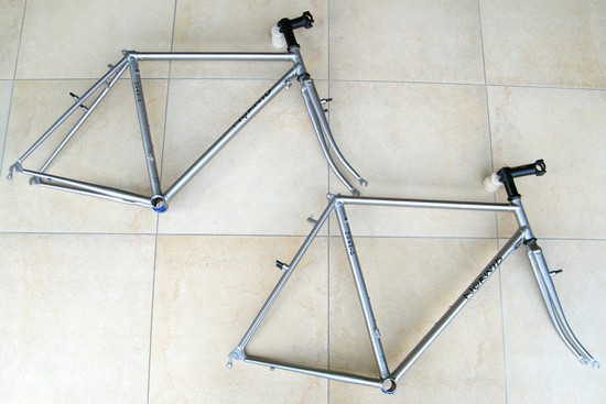 NORWID noblex oblige