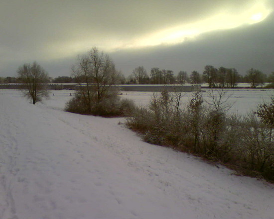Elbdeich3.1.20102