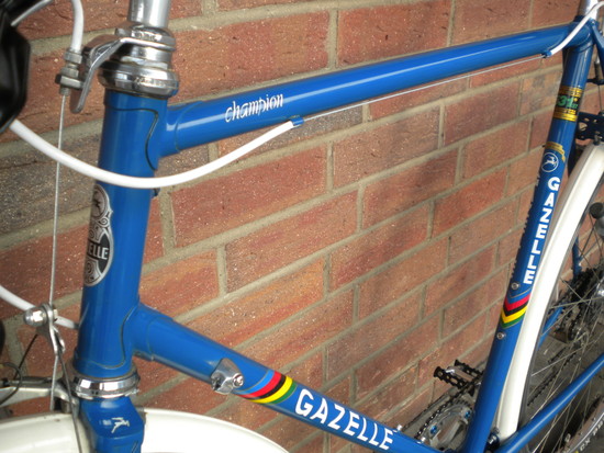 GazelleChampion005