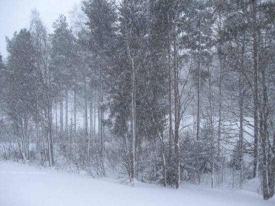 Es schneit immer noch...