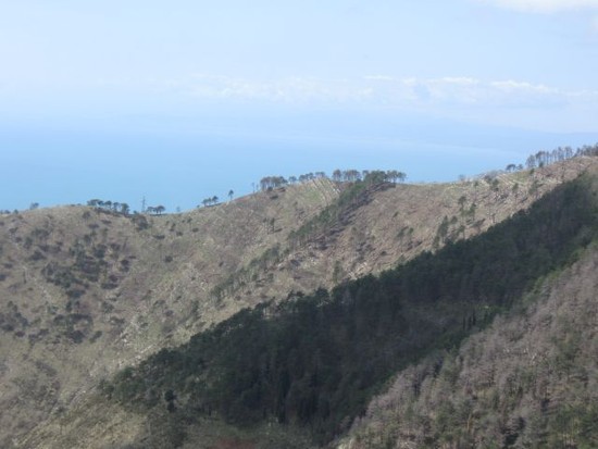 Radtouram2.4.2010004klein