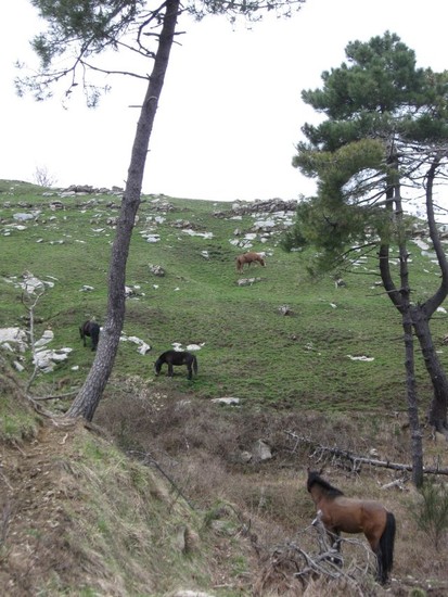 Radtouram2.4.2010018klein