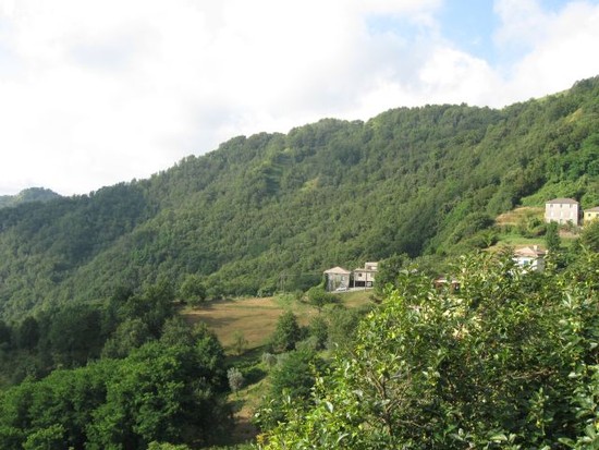 Touram15.7.2010003klein