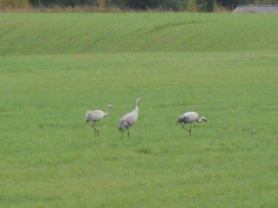 Touram21.9.2010001klein