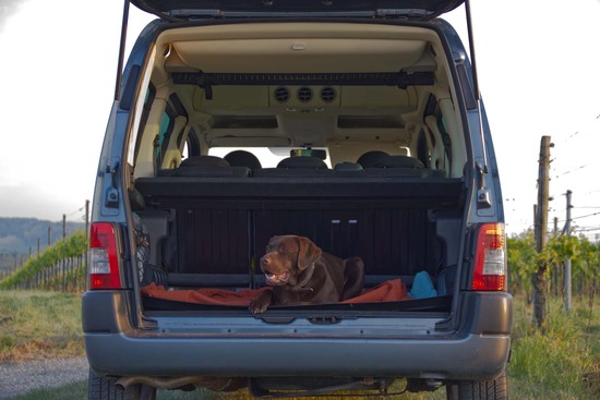 Alter Hund, neue Hütte