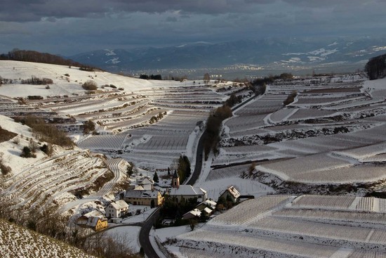 Kaiserstuhl, Freiburg, Schwarzwald