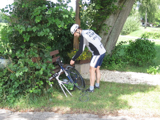 02 Stauden Mickhausen